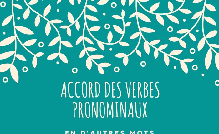 L&rsquo;accord des verbes pronominaux, en d&rsquo;autres&nbsp;mots